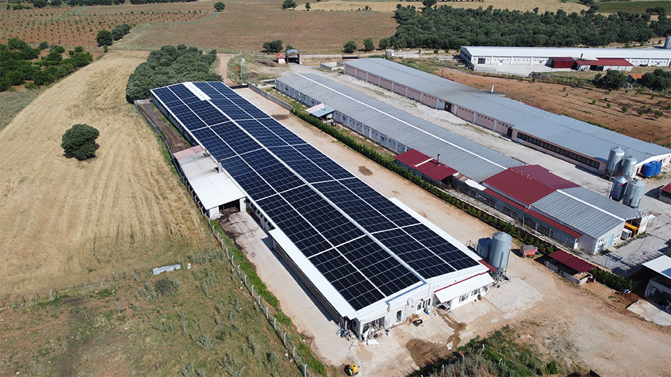 Uşak Besi Çiftliği - 3