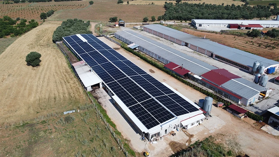 Uşak Besi Çiftliği - 3