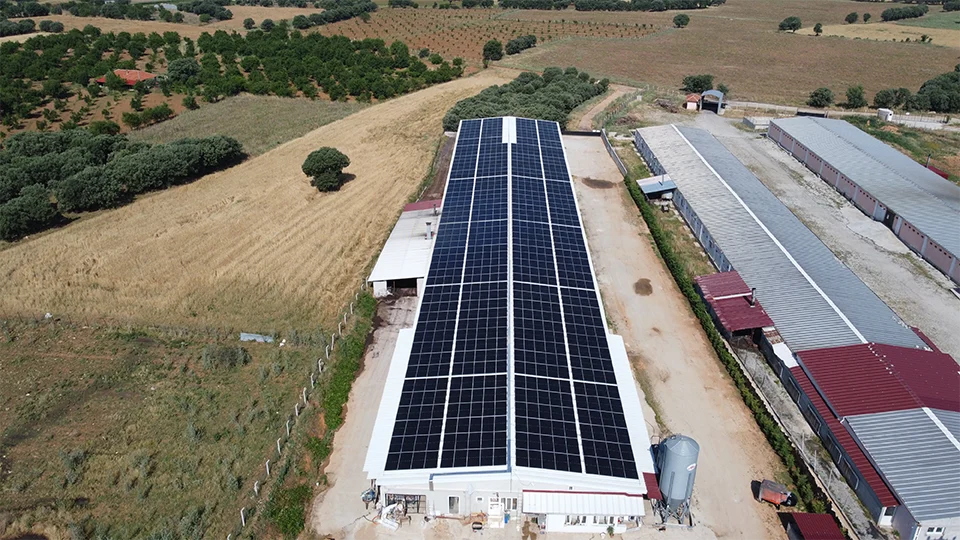 Uşak Besi Çiftliği